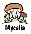 Mycelia